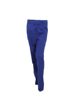 Premier® Premier Ladies/Womens Poppy Medical/Healthcare Work Trouser (Pack Of 2) (Royal)