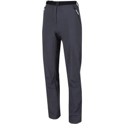 Regatta Womens/Ladies Xert III Stretch Active Pants (Seal Grey)
