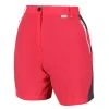 Regatta Womens/Ladies Sungari II Walking Shorts (Red Sky/Seal Gray)