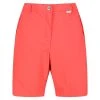 Regatta Womens/Ladies Chaska II Walking Shorts