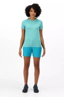 Regatta Womens/Ladies Mountain II Shorts - Enamel